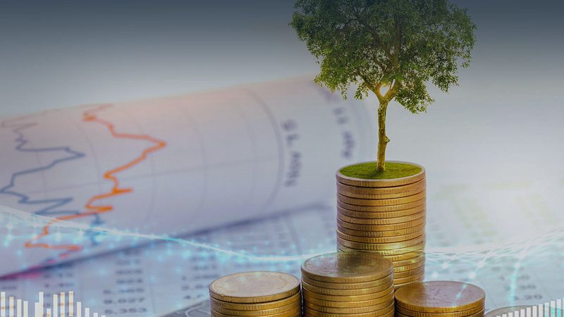 上市辅导协议违约责任：关键要素与应对策略